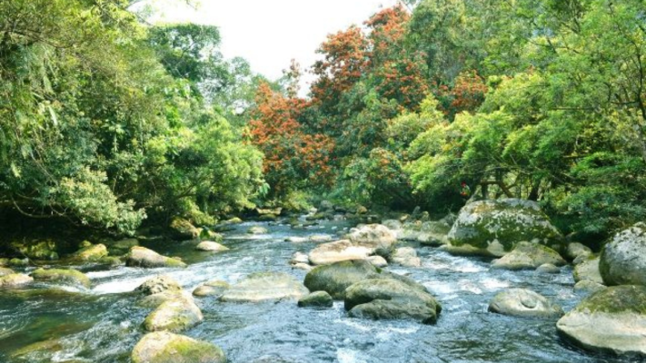 Mooc Springs entrance ticket in Phong Nha
