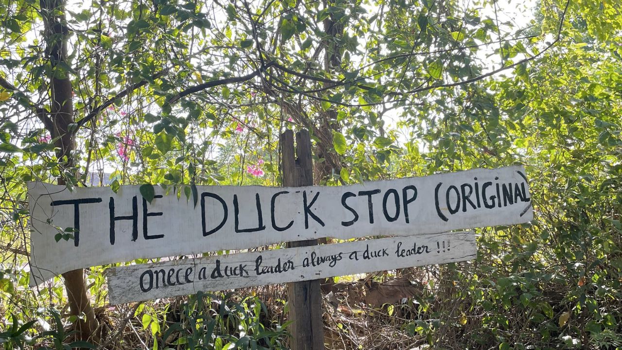 The Duck stop Phong Nha