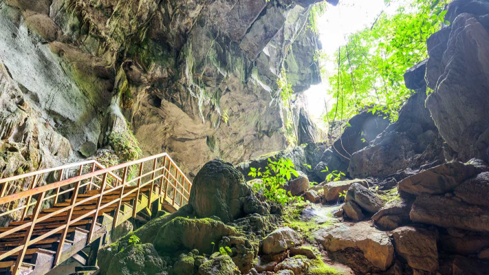 The entrance ticket in Phong Nha Tien Son Cave