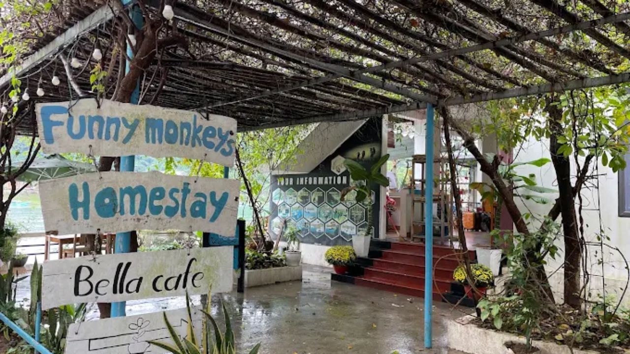 Funny Monkeys Homestay