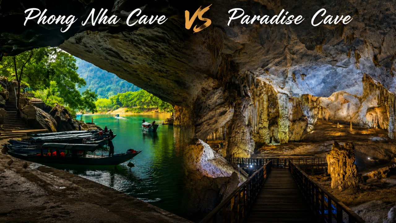 Phong Nha Cave vs Paradise Cave Which One Should You Visit First