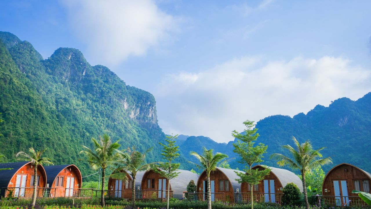 Phong Nha Homestay Top 14 Best Stays & Nature Overview Guide