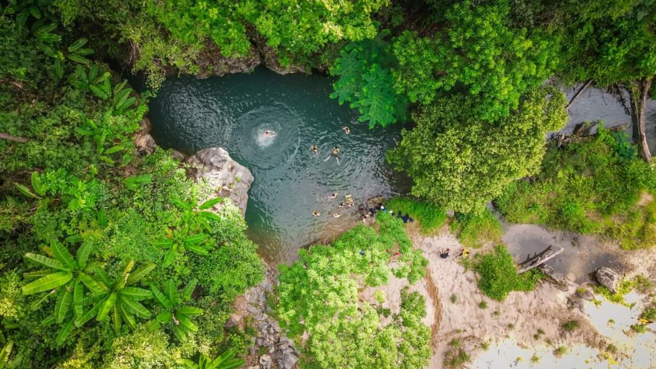 Rainforest and Wildlife Inside the Valley