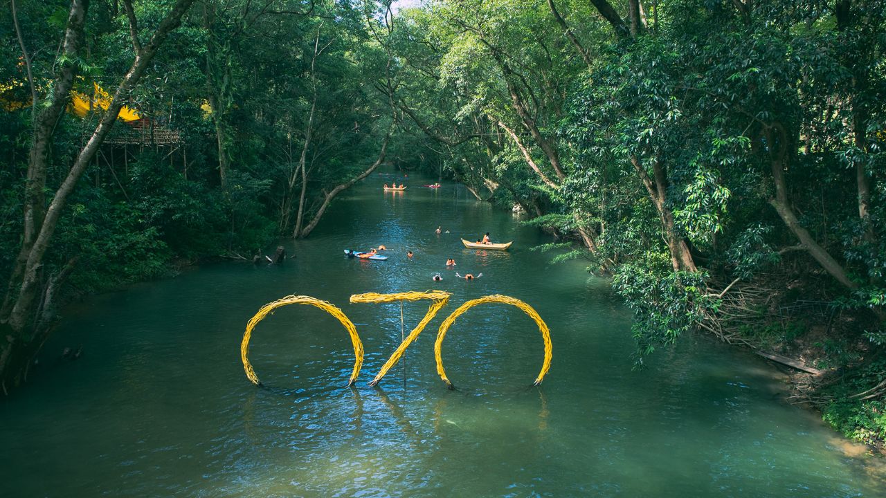 Ultimate Ozo Park Guide Ticket Prices, Map & Treetop Adventure