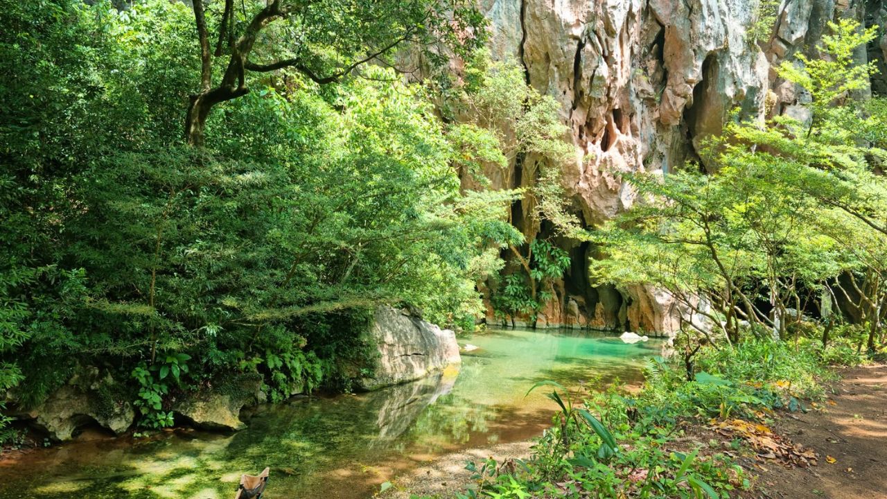 What Is Abandoned Valley Phong Nha