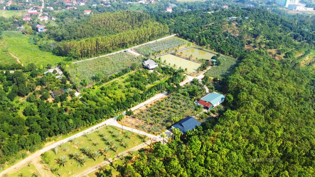 What to Expect at Cuong Rung Farm