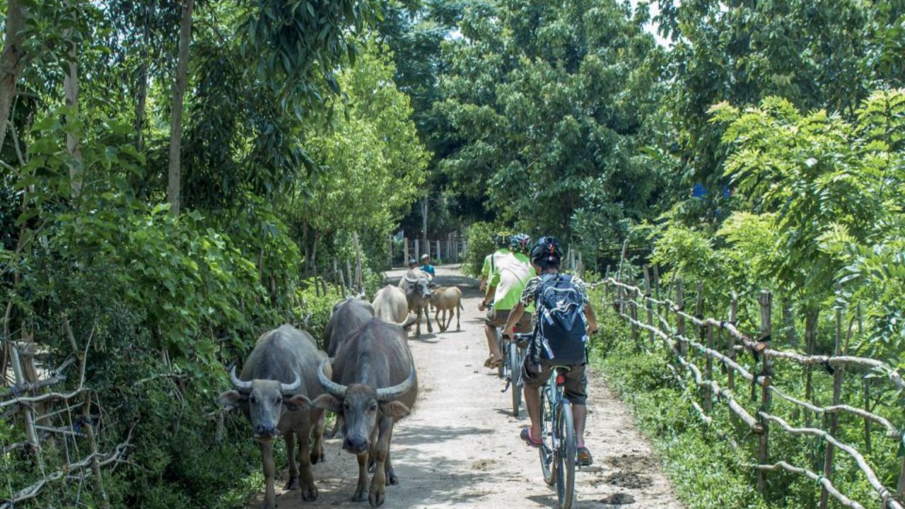 How to Get to Bong Lai Valley