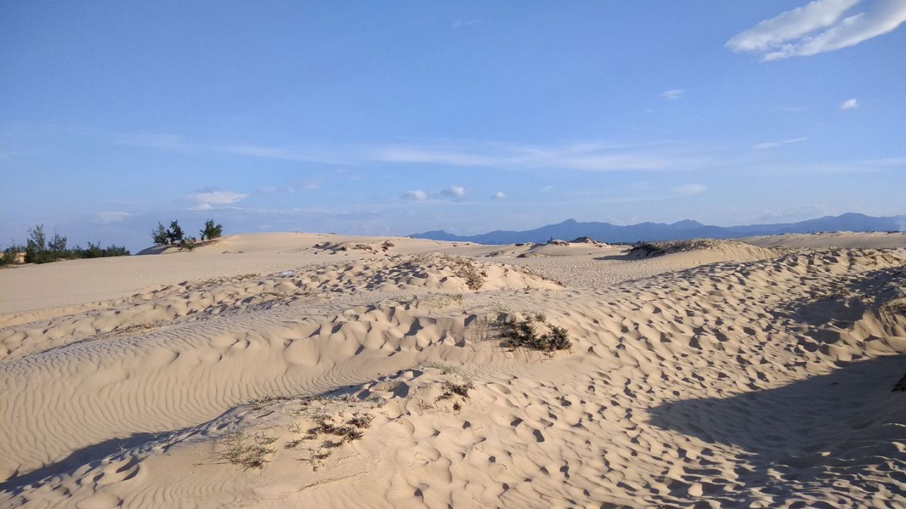 Quang Phu Sand Dunes Guide Activities, Price & Location
