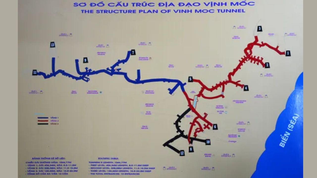 Structure and Scale of the Tunnel System