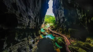 Dark Cave & Chay River Tour From Hue (Full Day Group Tour)