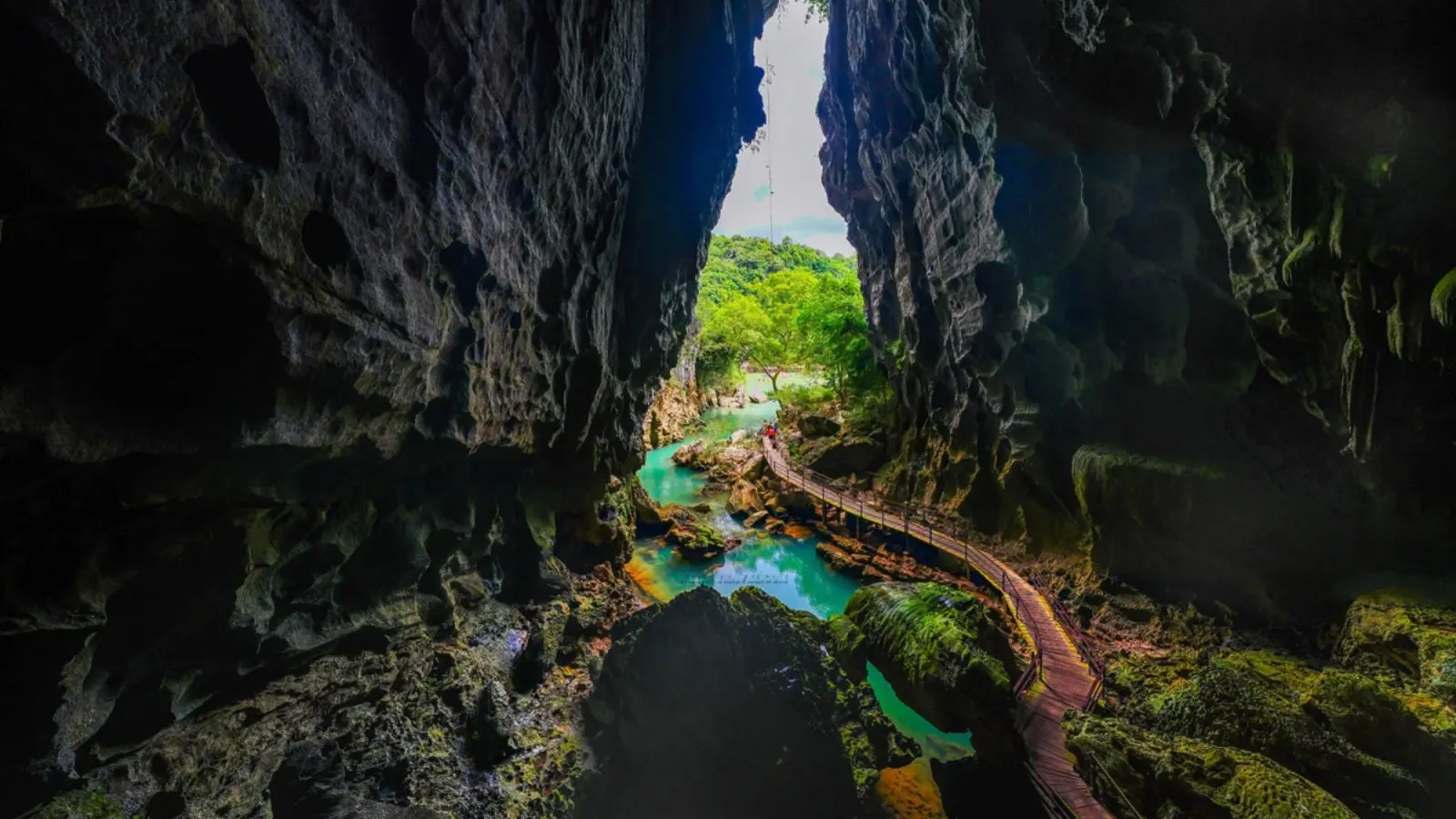 Dark Cave & Chay River Tour From Hue (Full Day Group Tour)